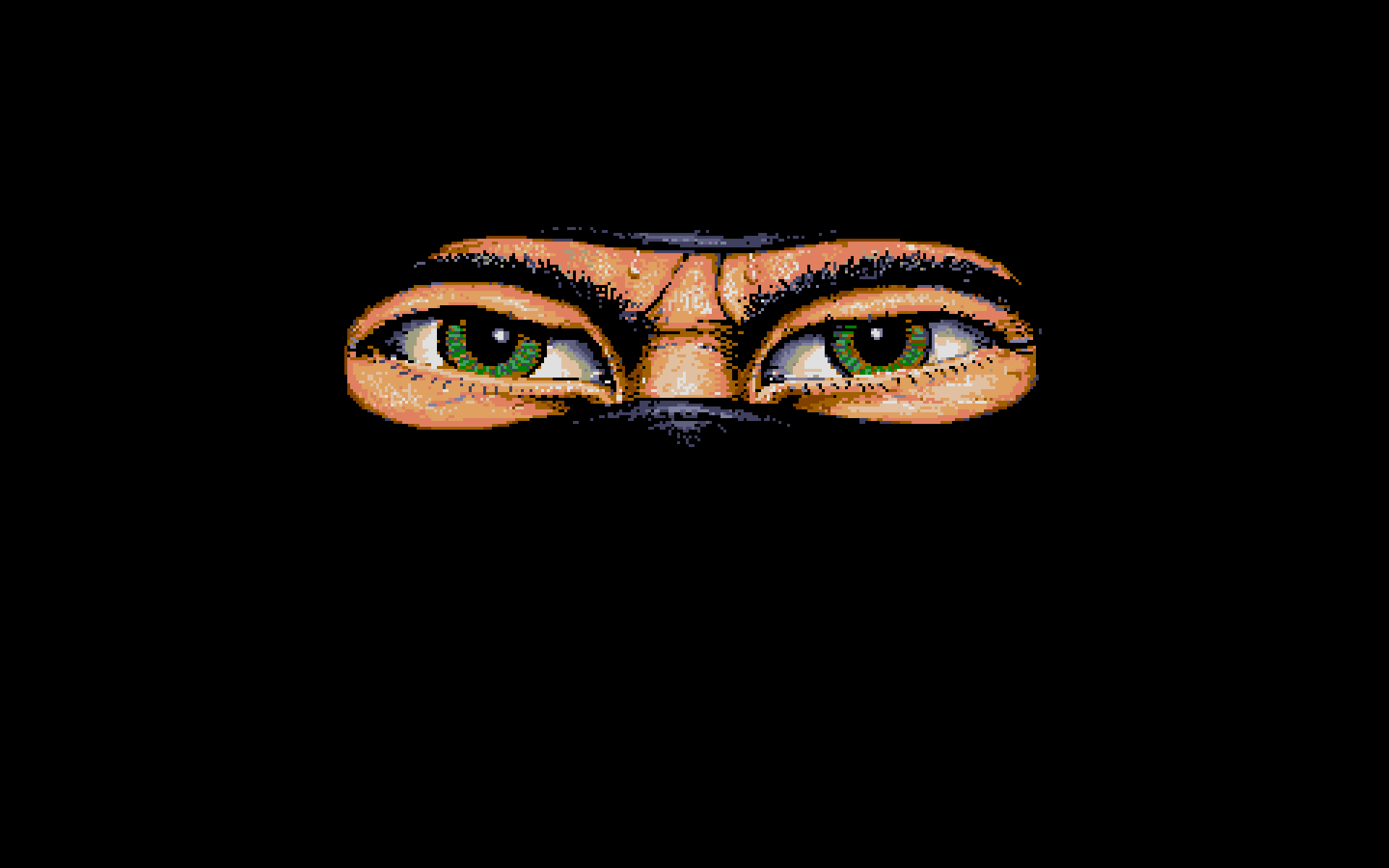 The Last Ninja