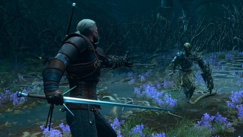 The Witcher 3: Songs of the Past